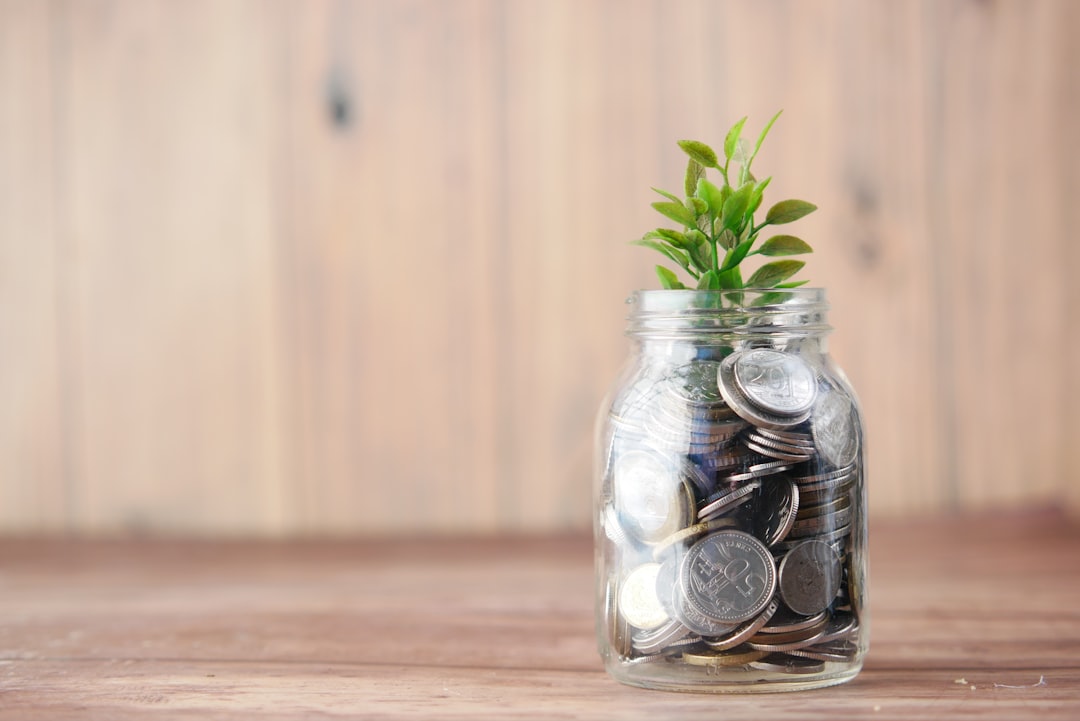 a-glass-jar-filled-with-coins-and-a-plant-joqwsi9u-xm